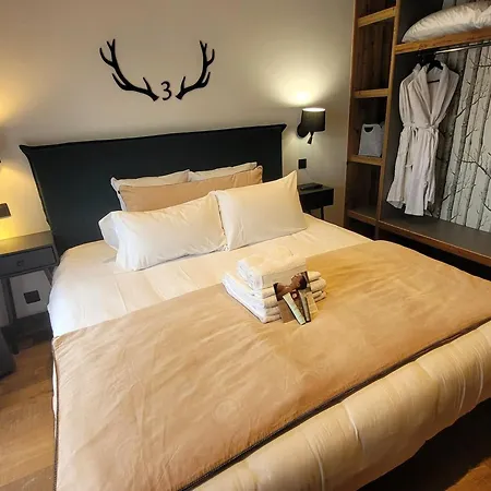 De Luxe Avec Jacuzzi, Sauna, Parking Et Wifi Aux Gets - Fr-1-598-19 Horská chata *